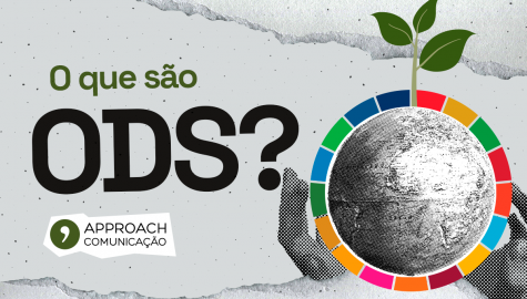 O que são ODS